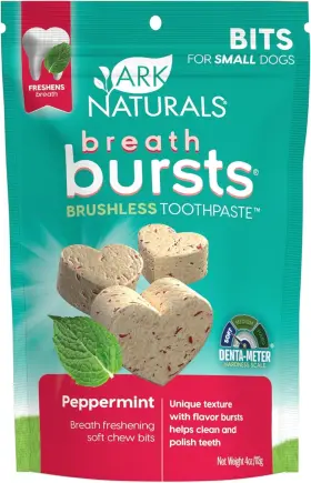 632634431020 ARK NATURALS Breath Bursts Brushless Toothpaste
