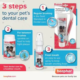 15303 BEAPHAR Toothbrush Toothpaste Pack Kit #3