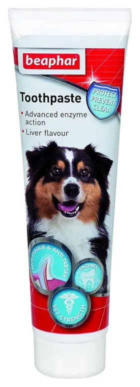 B005VD70OK BEAPHAR Toothpaste Dogs Cats Plaque Tartar Breath