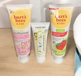 GB-2317 BURTS BEES Jack Jill Kids Toothpaste Pack Burt #3
