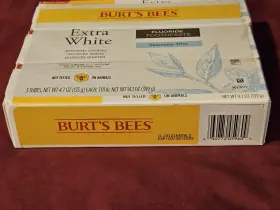 192539000146 BURTS BEES Mountain Fluoride Toothpaste Pack #2