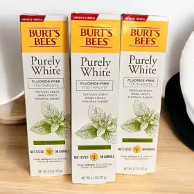 GB-21 BURTS BEES Purely Zen Peppermint Fluoride Toothpaste