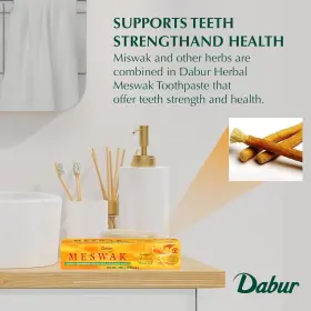 B00FLMTPE4 DABUR Meswak Toothpaste Fluoride Natural Oral #3