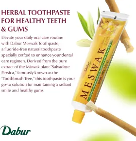 FB226200 DABUR Meswak Toothpaste Fluoride Natural Oral #2