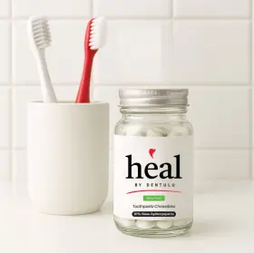 860012753109 DENTULU Heal Toothpaste Chewable Bites Nano