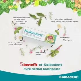 021281237213 PURE Kolbadent Herbal Extract Toothpaste Tube #2