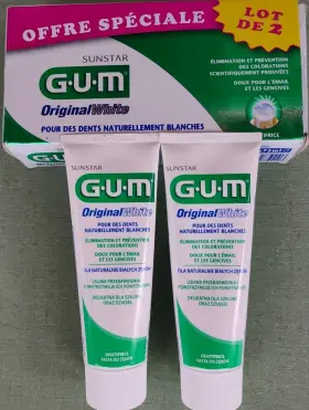 401325839226 GUM Sunstar Toothpaste
