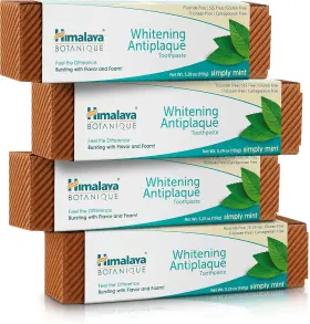 445042365312 HIMALAYA Botanique Whitening Care Toothpaste
