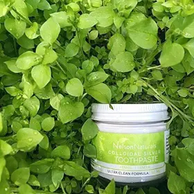 627843433026 NELSON NATURALS Fennel Fluoride Toothpaste #2