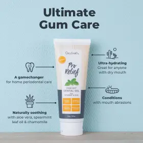 313047742773 OXYFRESH Pro Relief Dental Gel Zinc Infused Aloe #2
