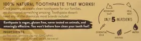 3PACK REDMOND Epwintergreen Earthpaste Natural Fluoride Vegan #3