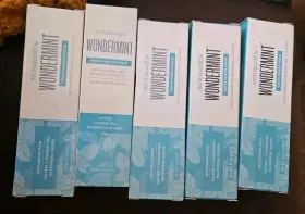 859139006496 SCHMIDT Mouth Paste Wondermint