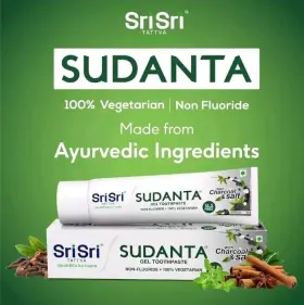 3XSRI SRI TATTVA Sudanta Ayurvedic Herbal Gel Toothpaste Salt #2