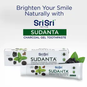 904150191309 SUDANTA Sri Tattva Toothpaste Gel Whitening #2