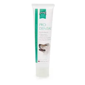 721343047544 TOP PERFORMANCE Prodental Toothpaste