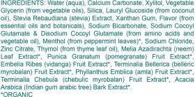5027 WELLNESS USA LTD Botanique Care Toothpaste Spearmint #2