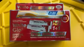 SLI311Q WHITE GLO Choice Fluoride Toothpaste Twin Toothbrush