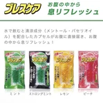 Kobayashi Breath Care Japan Mint Capsules 5 Pack Set Japanese Freshener. Fixed Price $63.00.