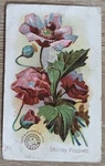 1895 Ah800 Church & Co Arm Hammer Beautiful Flowers Shirley Poppies Card #43. Fixed Price $7.49.