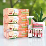 Isme Rasyan Herbal Clove Toothpaste W Aloe Vera & Guava Leaf 100g X12 + 4 Sample. Fixed Price $86.00.