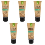 Redmond Life Silver Earth Paste Mineral Toothpaste Wintergreen 4 Oz 5 Pack. Fixed Price $49.97.