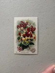 Arm & Hammer Church Beautiful Flowers Honeysuckle Victorian Card C1880s No. 56. Fixed Price $6.00.