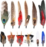 Hat Natural Peacock Feathers - 12pcs Colorful Real For Diy Fedora, Cowb. Fixed Price $20.06.