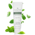 Hydroxyapatite Toothpaste - Fluoride-free Remineralizing W/ Protektin, 4oz. Fixed Price $38.95.