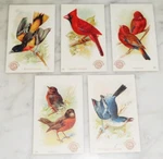 Church &co Arm &hammer 1893 Beautiful Birds #27 34 35 36 55 Collectible Card Lot. Fixed Price $60.00.