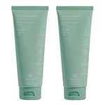 Terra & Co. Gentle Green Micro-hydroxyapatite Toothpaste For Sensitive Teeth .... Fixed Price $62.34.