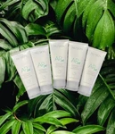 5xnuskin Nu Skin Authentic Ap24 Whitening Fluoride Toothpaste Fullsize Exp09/26. Fixed Price $53.88.