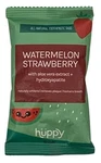 62 Count (pack Of 1), Huppy Toothpaste Tablets, Watermelon Strawberry, Refill. Fixed Price $93.99.