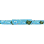 The Green Beaver Frosty Mint Natural Toothpaste 3 Pack. Fixed Price $24.99.