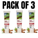 Desert Essence Natural Neem Toothpaste Cinnamint 6.25 Oz (pack Of 3). Fixed Price $34.00.