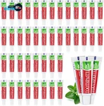 100 Tubes Travel Size Toothpaste In Bulk Disposable Mini Mint Compact Small. Fixed Price $24.47.