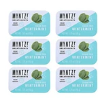 Myntz Blast Breathmints, Sugar Free 1.75-ounce Containers (wintermynt, 12 Pack). Fixed Price $42.21.