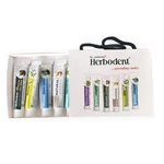 Herbodent Natural Travel Pack - Amazing Toothpaste 0.53 Ounce (pack Of 6). Fixed Price $10.26.