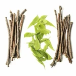 Neem Chew Sticks Pure-organic For Healthy Teeth And Gums Tongue Cleaner 20 Pcs. Fixed Price $12.99.