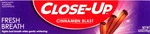 Close-up Toothpaste, Refreshing Red Gel, Anticavity Fluoride, Cinnamon, 6 Oz. Fixed Price $20.00.