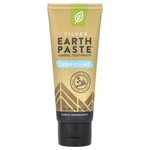 Silver Earth Paste , Mineral Toothpaste, Peppermint, 4 Oz (113 G). Fixed Price $10.51.