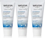 Weleda Natural Salt Toothpaste. 2.5 Fluid Ounce (pack Of 3). Fixed Price $31.65.