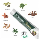 Pack Of 3 X Dr. Jaikaran Herbodent Premium Complete Herbal Toothpaste 100 Gm. Fixed Price $19.99.